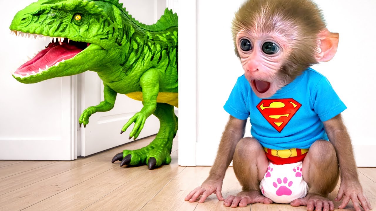 Le singe Bon Bon et le petit chiot découvrent ensemble le mini supermarché souterrain secret