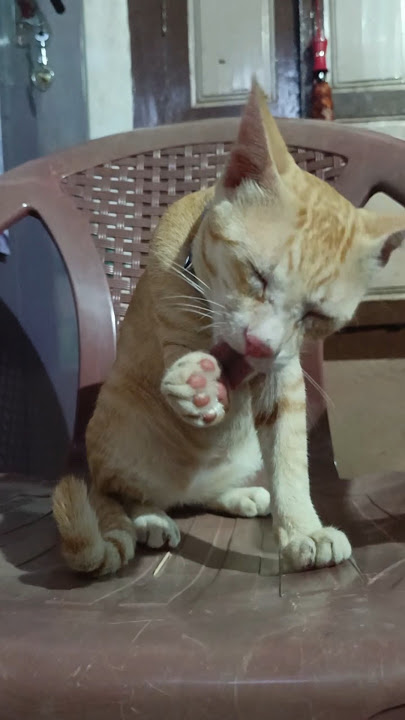 🥶😪It's winter and I'm sick.