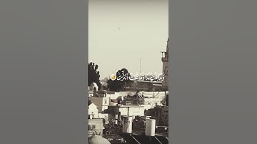 تلاوة من سورة طه❤️ القارئ ناصر القطامي