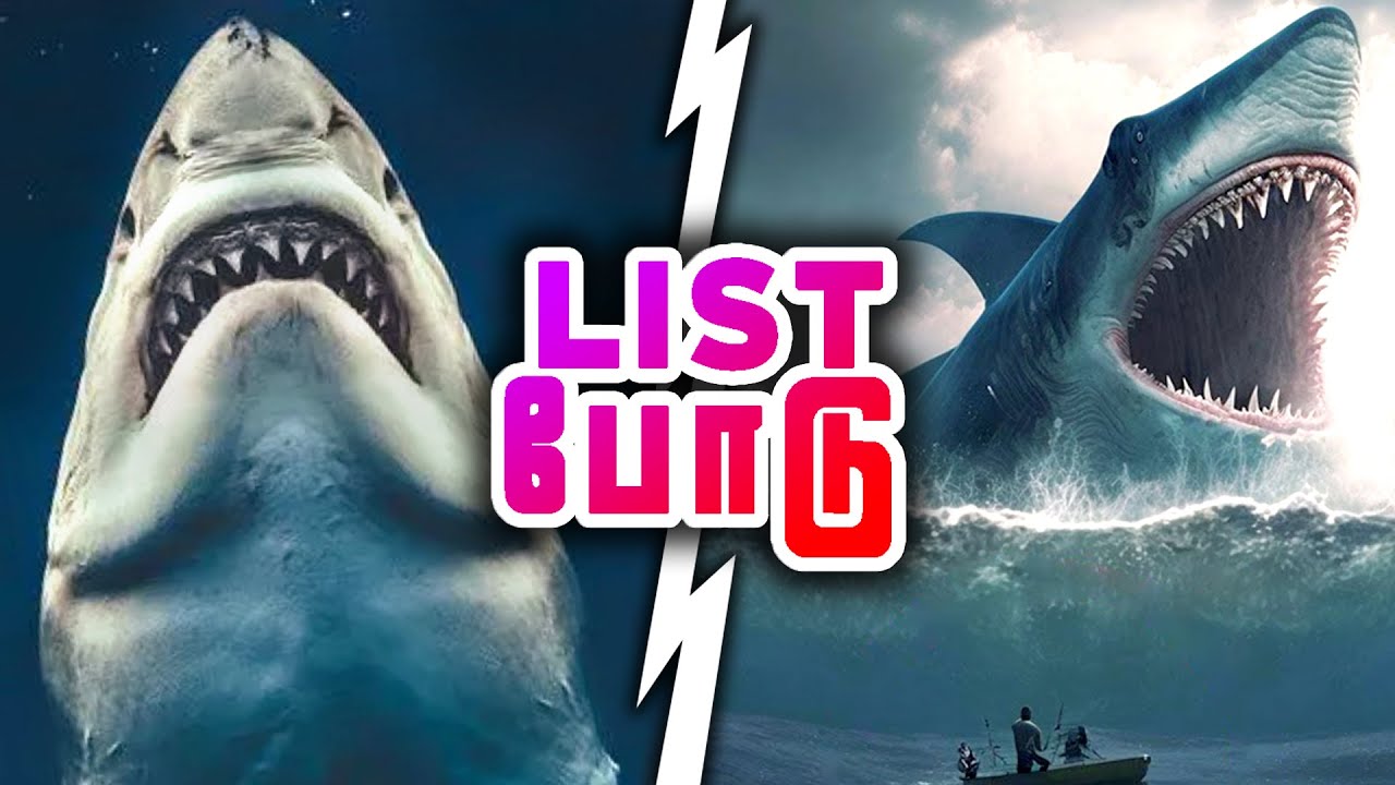 Top 5 Best Shark Movies (தமிழ்) - YouTube