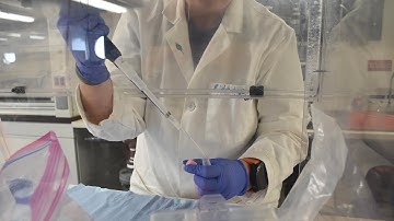 MOSAIC protocol for underway shipboard eDNA sampling