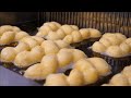 꽈배기의 진화는 어디까지!? 매일완판! 엄청난 종류의 꽈배기 Making various types of the twisted doughnut - Korean street food