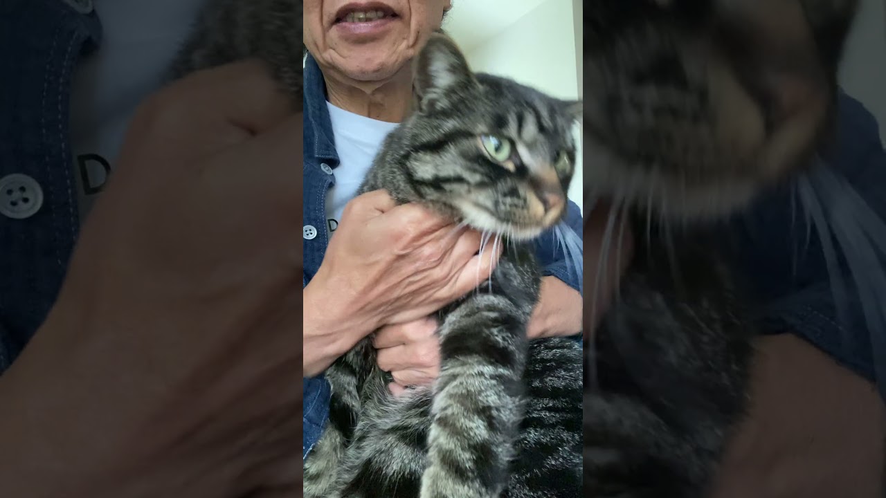 今朝のこーちゃん🐱