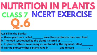 Fill in the blanks | Nutrition in plants class 7th ncert solution | DARSHAN CLASSES