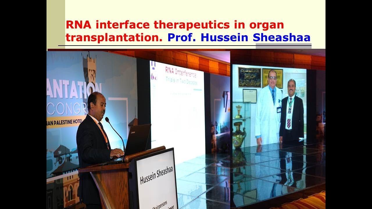 RNA interference therapeutics in organ transplantation. Prof. Hussein ...