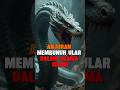 INILAH ANJURAN UNTUK MEMBUNUH ULAR MENURUT AGAMA ISLAM | Tau islam #kisah #sejarahlslam #faktaunik
