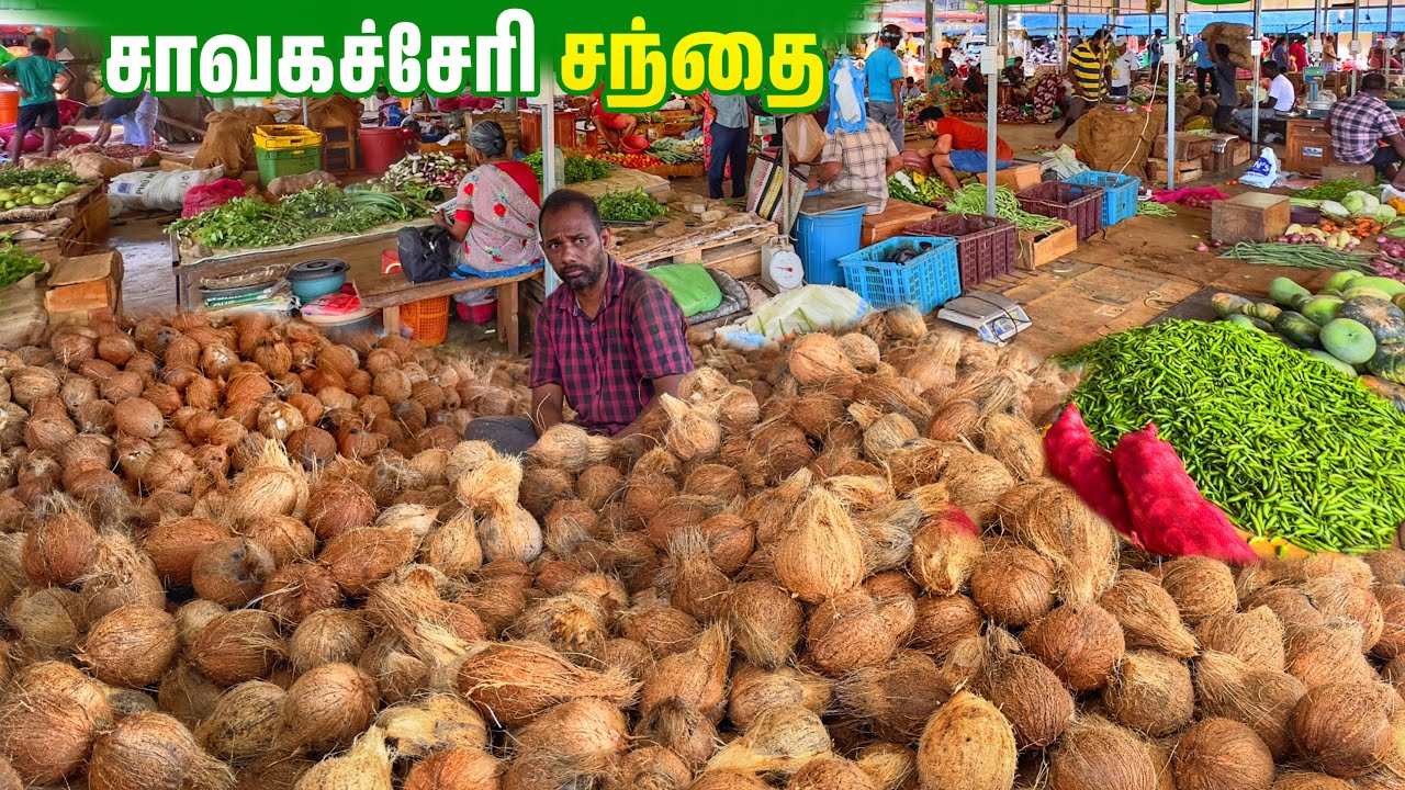 யாழ் - சாவகச்சேரி சந்தையின் அழகு