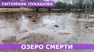 ОЗЕРО СМЕРТИ | ВО ЧТО ПРЕВРАТИЛСЯ ПИТОМНИК ЛУКАШОВА |  Нетипичный Хабаровчанин