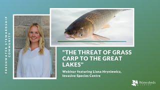 "The Threat of Grass Carp to the Great Lakes" webinar with Liana Hryniewicz