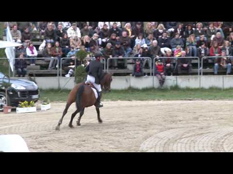 Deutsches Championat der Berrufsreiter