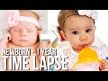 Adorable Newborn to One Year Time Lapse