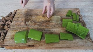 알로에베라 손질법 건강하게 먹는법 How to cut and eat Aloe Vera