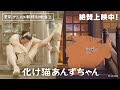 映画「化け猫あんずちゃん」実写・アニメ比較映像