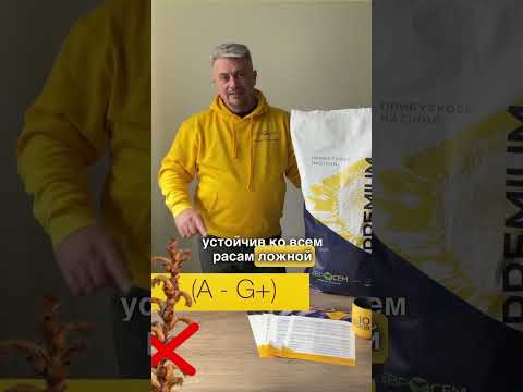 Старк 7+ Сумо,