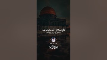 ربنا انك تعلم مانخفي وما نعلن   سورة ابراهيم   القارئ   احمد النفيس