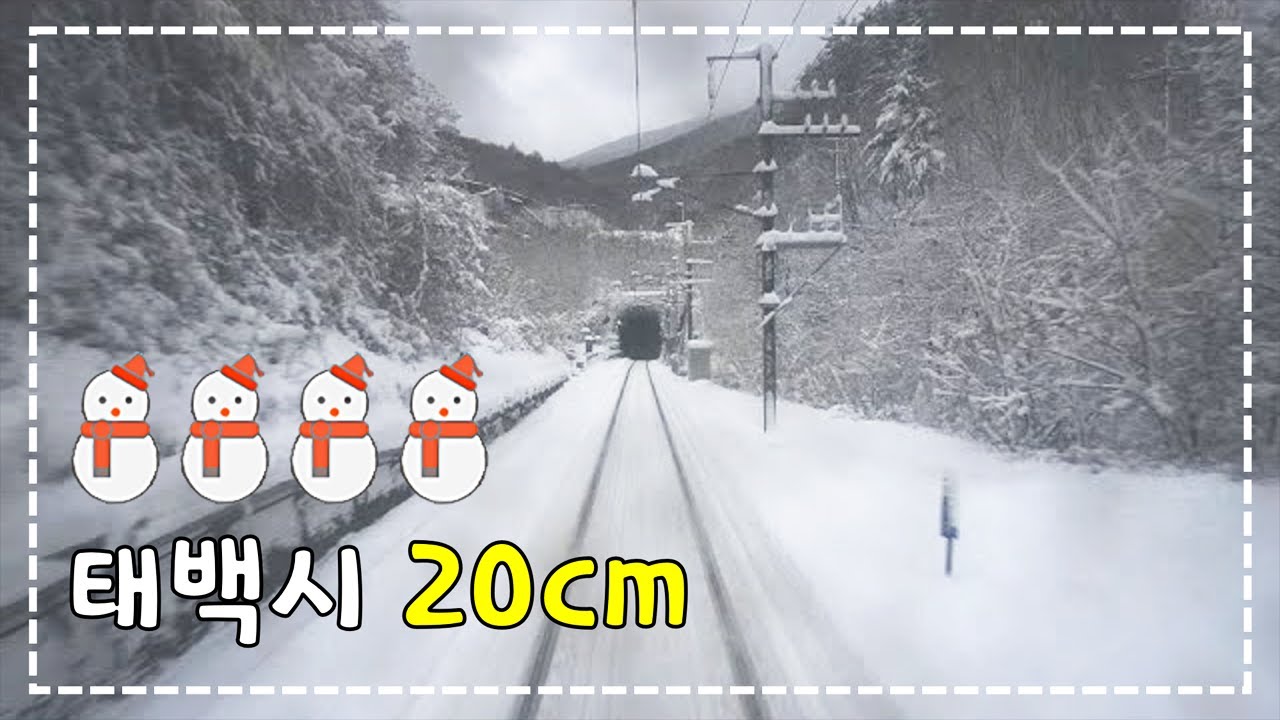 【눈 내리는】 태백선 무궁화호 예미-동백산 후부 주행영상