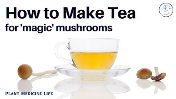 How To Make Mushroom Tea 🍄