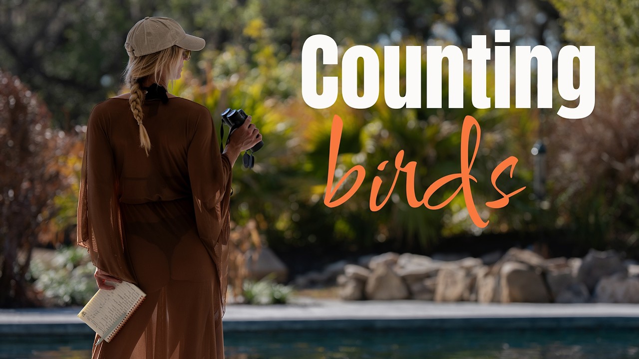 Подсчет птиц изменил мои выходные | Удачный подсчет птиц на заднем дворе