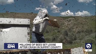 At least 2 injured after semi hauling beehives tips on I-80