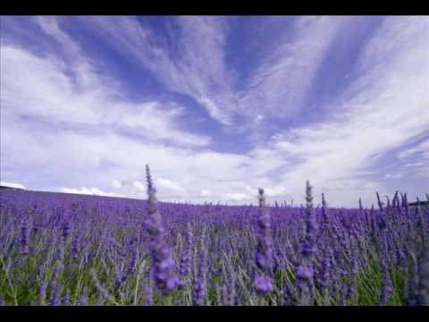 Lazy Lou's Boogie - いつもそこに君がいた (instrumental)