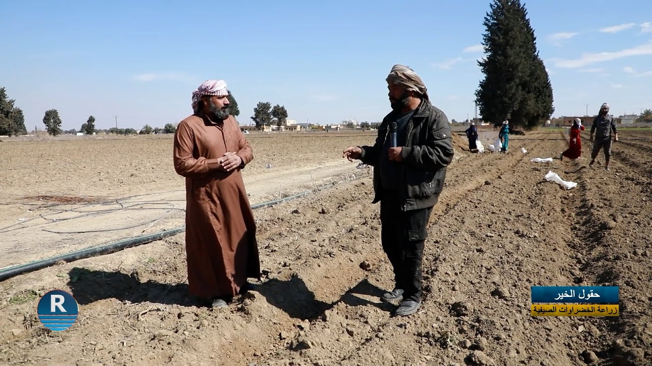 حقول الخير|| زراعة الري بالتنقيط|| 1 - 3 - 2025