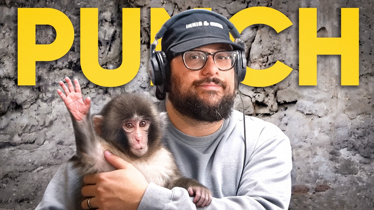 Ударить обезьяну? | Lopsided Pod