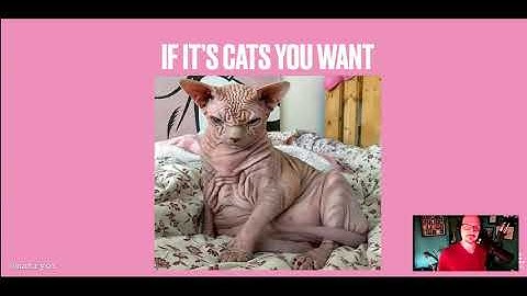 Mat Ryer - How I write HTTP services after eight years (29th July 2020 - Golang Bristol)