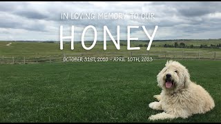 2023 Honey Memorial Video