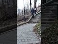 Scarile din Sinaia, spre castelul Peles