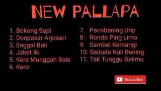 camporsari new palapa vol (1)