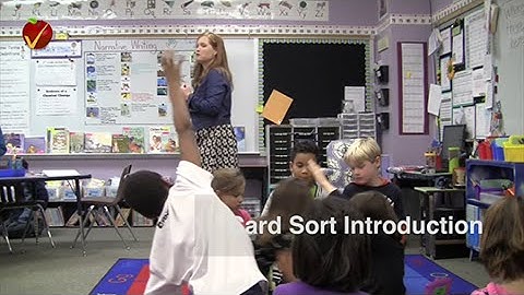 Card Sort Introduction