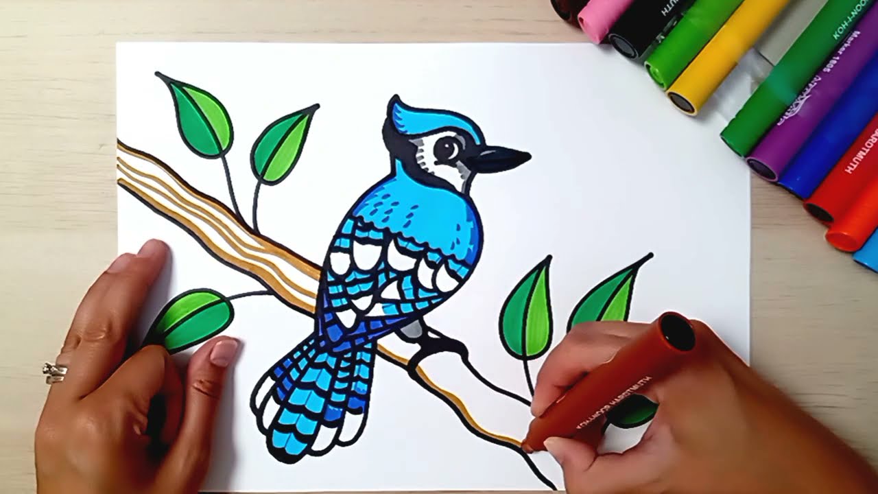 How To Draw A Blue Jay Bird Easy Drawing For Kids Coloring With Markers Youtube