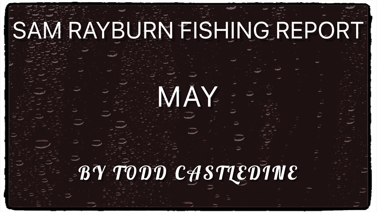 SAM RAYBURN BASS FISHING REPORT FOR MAY (Todd Castledine Fishing)