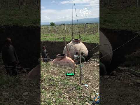 How Georgia Makes Wine #shorts #wine