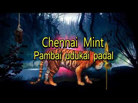 Chennai mint pambai udukai padal