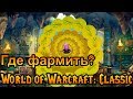 Где фармить золото? World of Warcraft: Classic