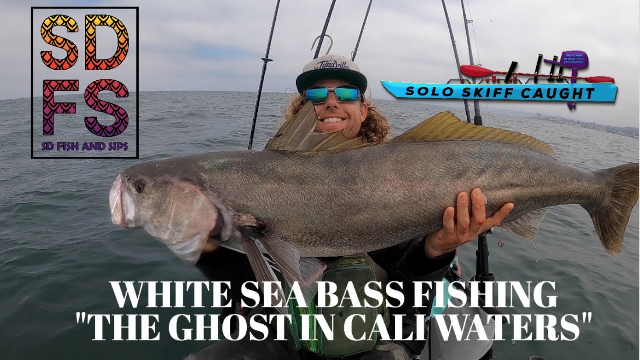 Incredible Solo Skiff Fishing White Sea Bass Caught While Trolling A