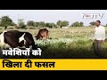 Madhya Pradesh : किसानों की मेहनत का कोई मोल नहीं