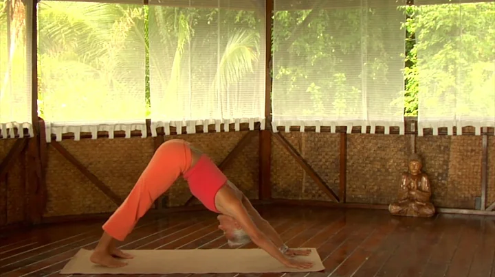 HAWAII YOGA with Deborah Koehn - Intro Flow Sequence