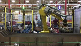 Bottle transfer from tray to moving conveyor #automation #robot #roboticarm