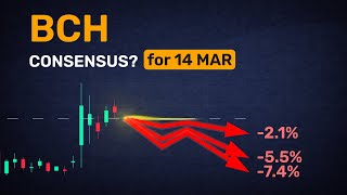 What’s the consensus? BCH forecast for the next day