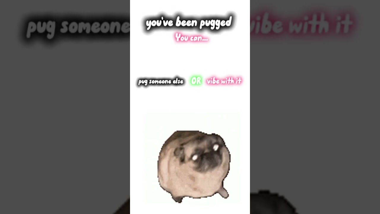 you've been pugged 