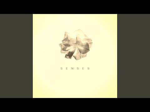 在 YouTube 上观看 Empty 在 YouTube 上观看 Empty