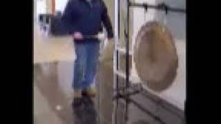 IMG 8650 1 2 1