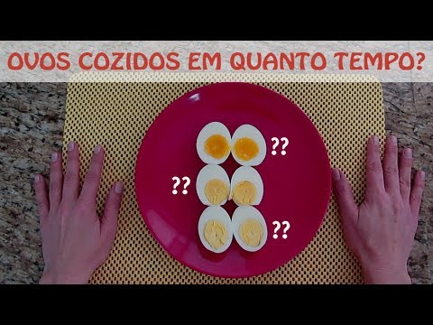 Quanto Tempo Dura Ovo