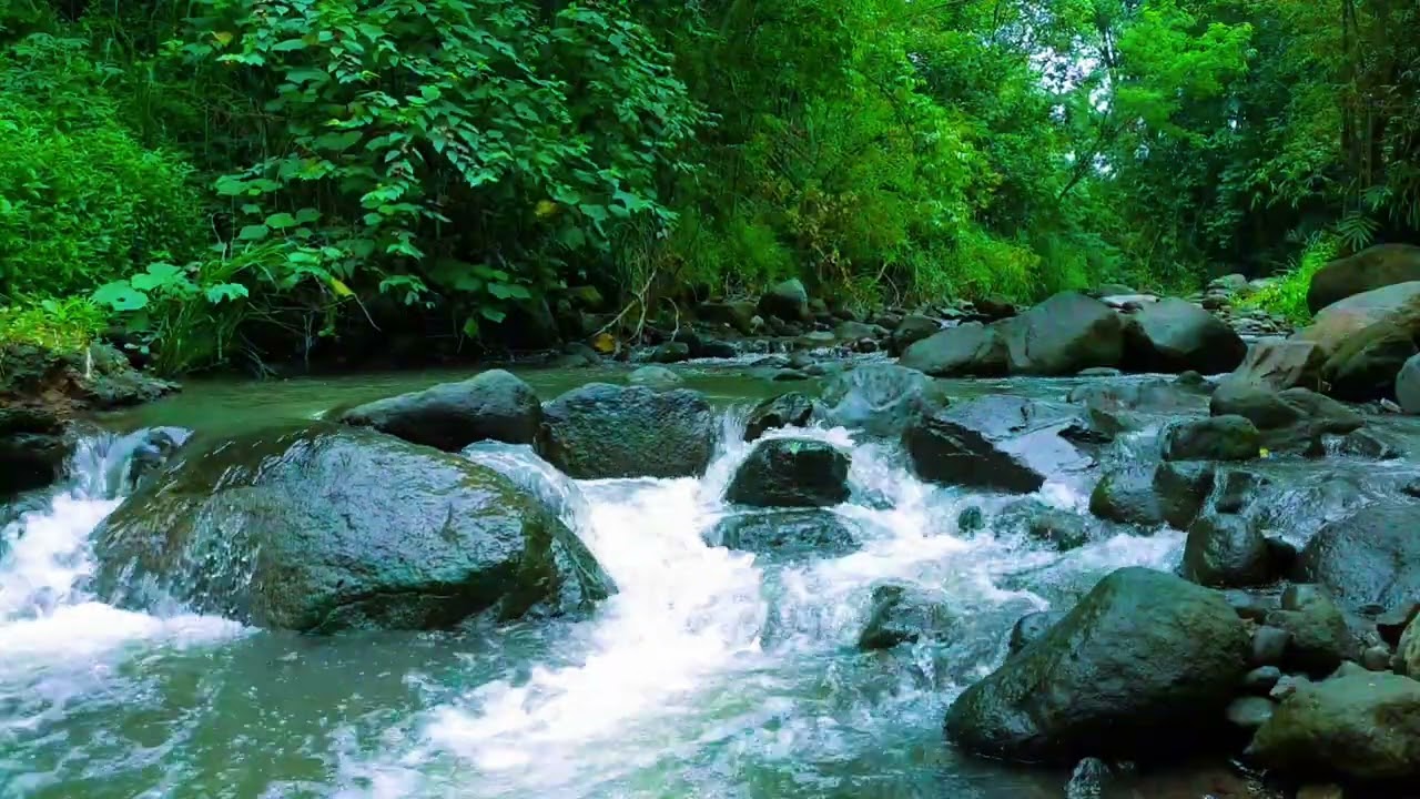 1 Hour Peaceful River ASMR: Healing Nature Sounds for Sleeping, Studying, and Relaxation
