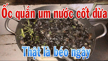 Ốc quắn um nước cốt dừa, béo ngậy từng con | ATV