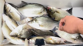 2023 Falls White Bass Fremont Wi