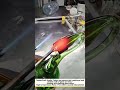 Glass Blowing & Shaping Process | How Glass Is Heated & Formed into Products