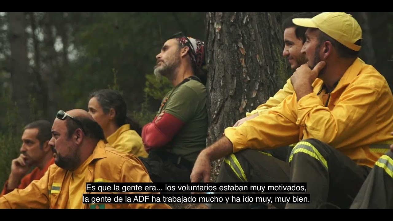 IREHOM   PLA ESTRATÈGIC VALL ARTIGUES   VOS CAST